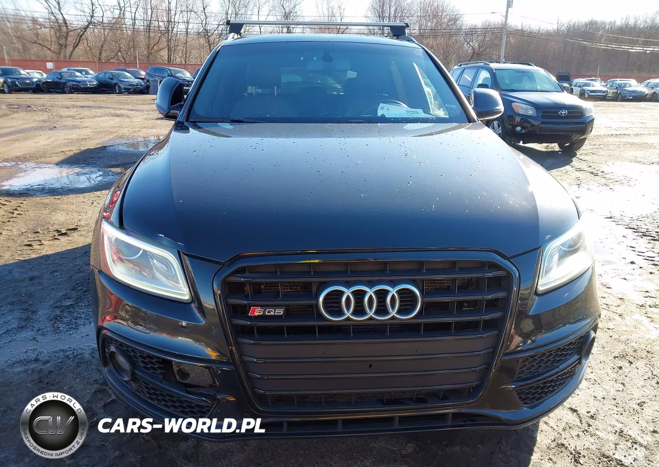 2016 Audi Sq5 3.0T Premium Plus VIN:WA1VCAFP1GA019825 - 17