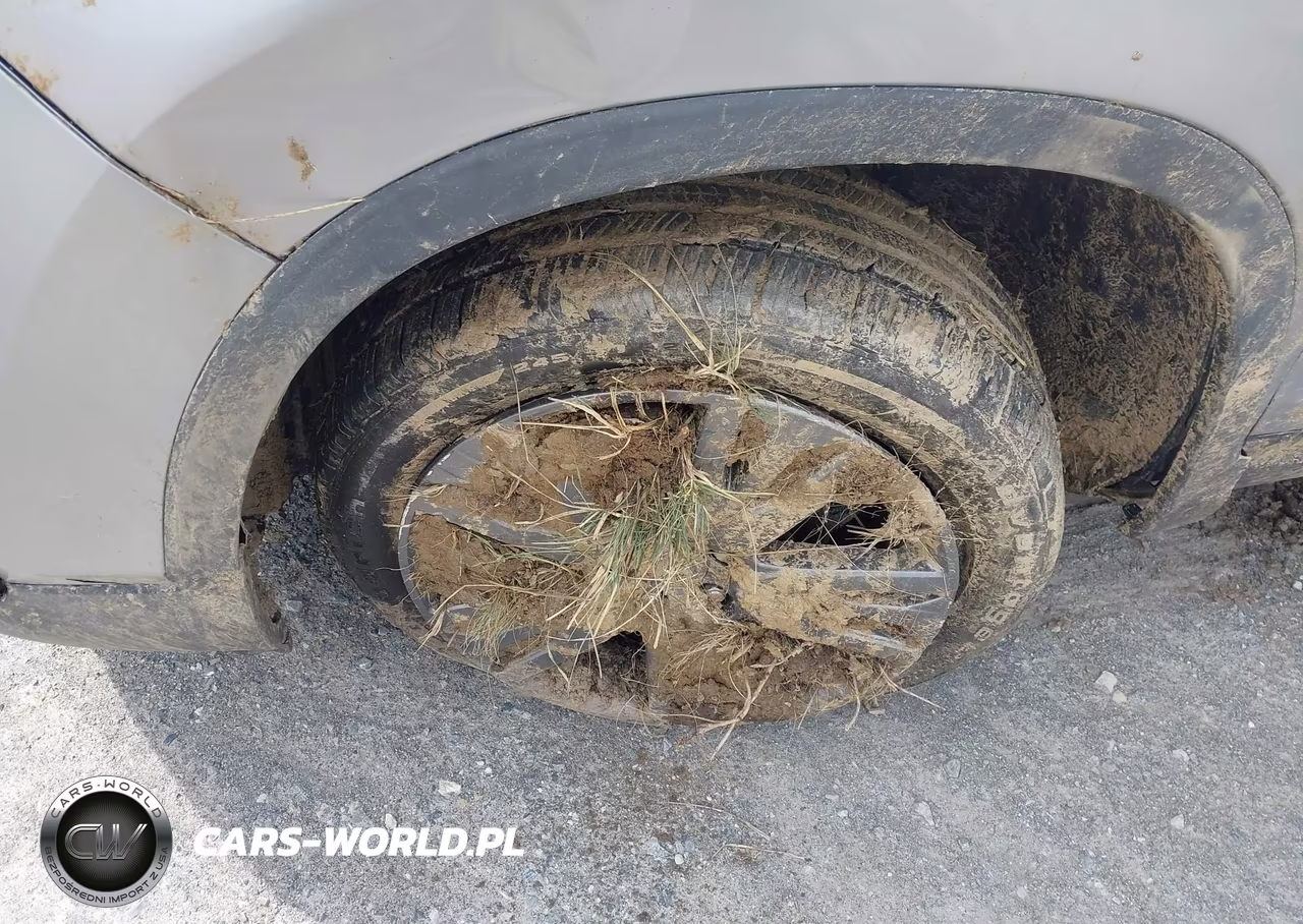 2020 Honda Passport Awd Ex-L VIN:5FNYF8H52LB019574 - 12