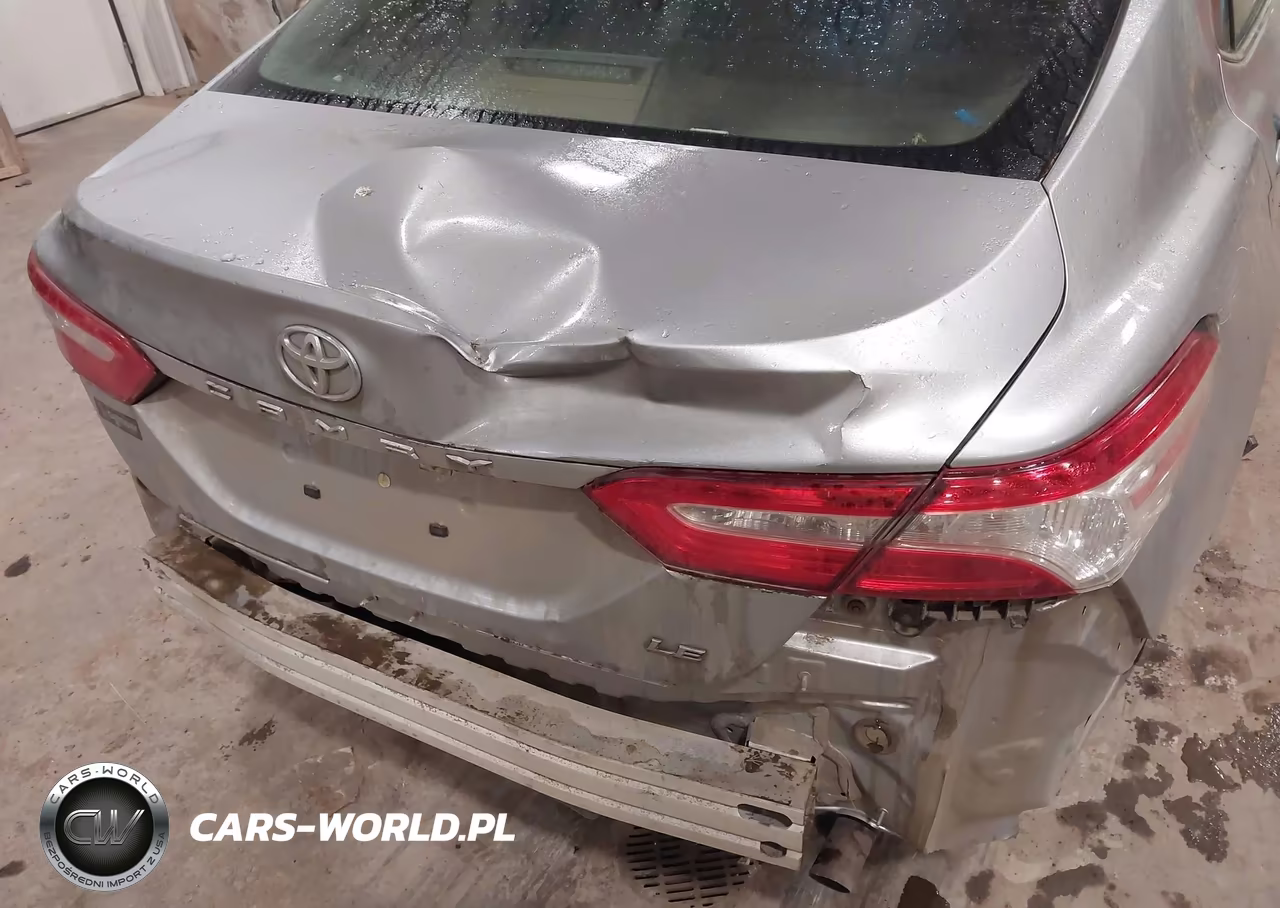 2019 Toyota Camry Le VIN:4T1B11HK3KU754034 - 19