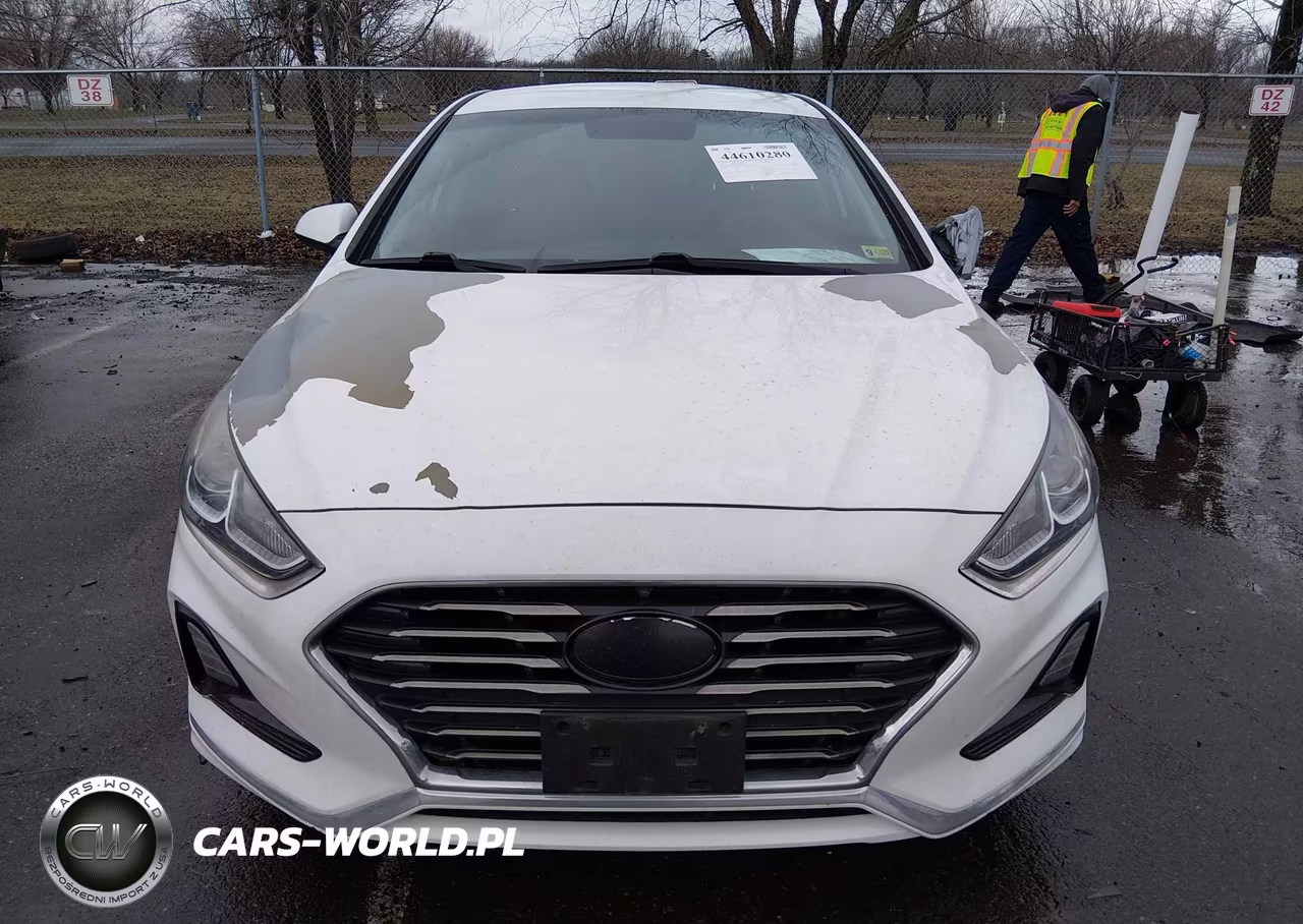 2019 Hyundai Sonata Se VIN:5NPE24AF6KH735002 - 12
