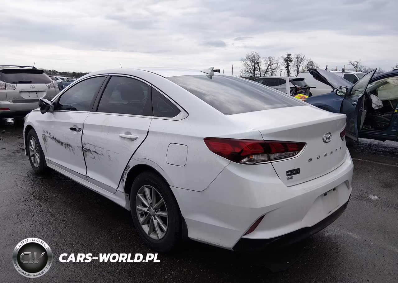 2019 Hyundai Sonata Se VIN:5NPE24AF6KH735002 - 3