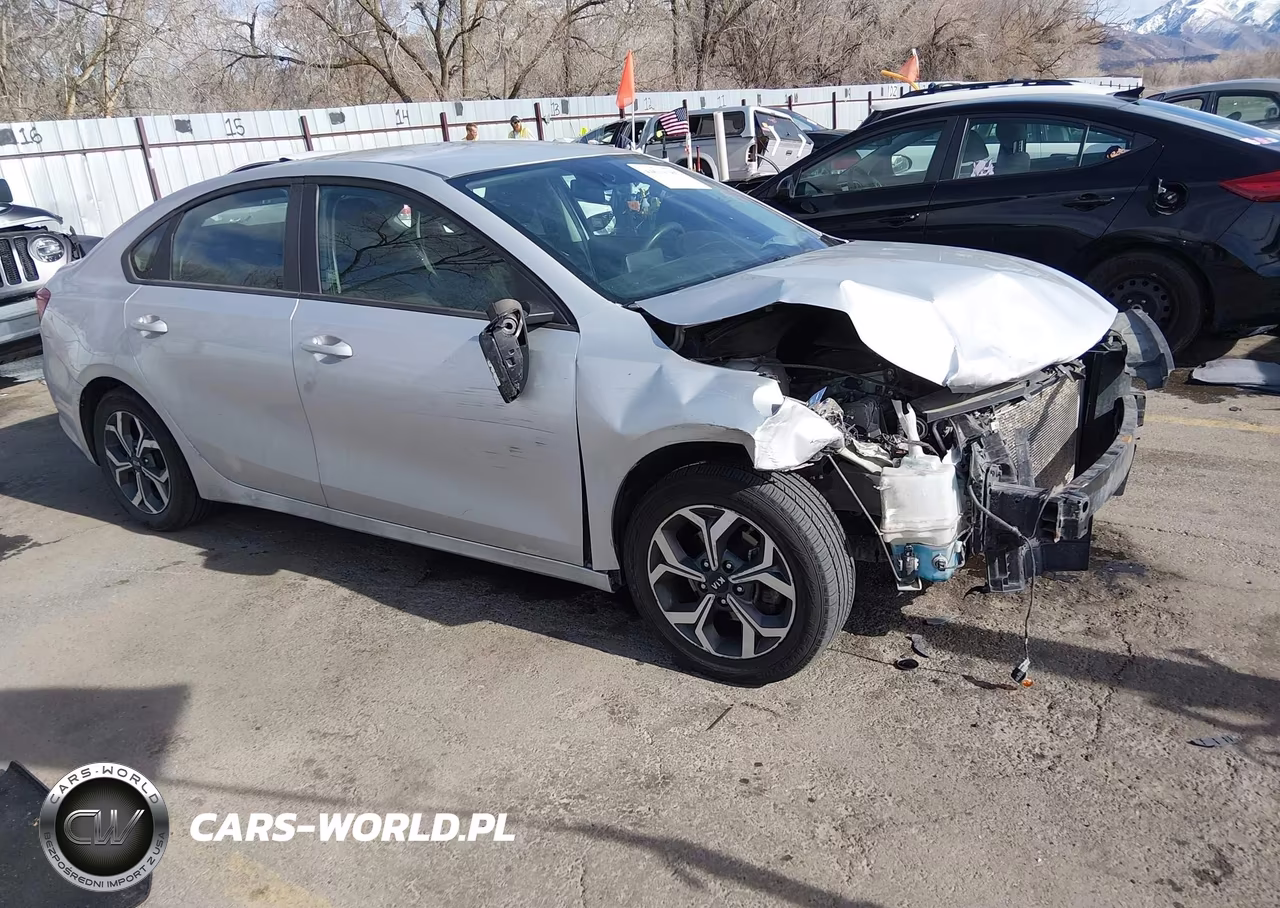 2019 Kia Forte Lxs