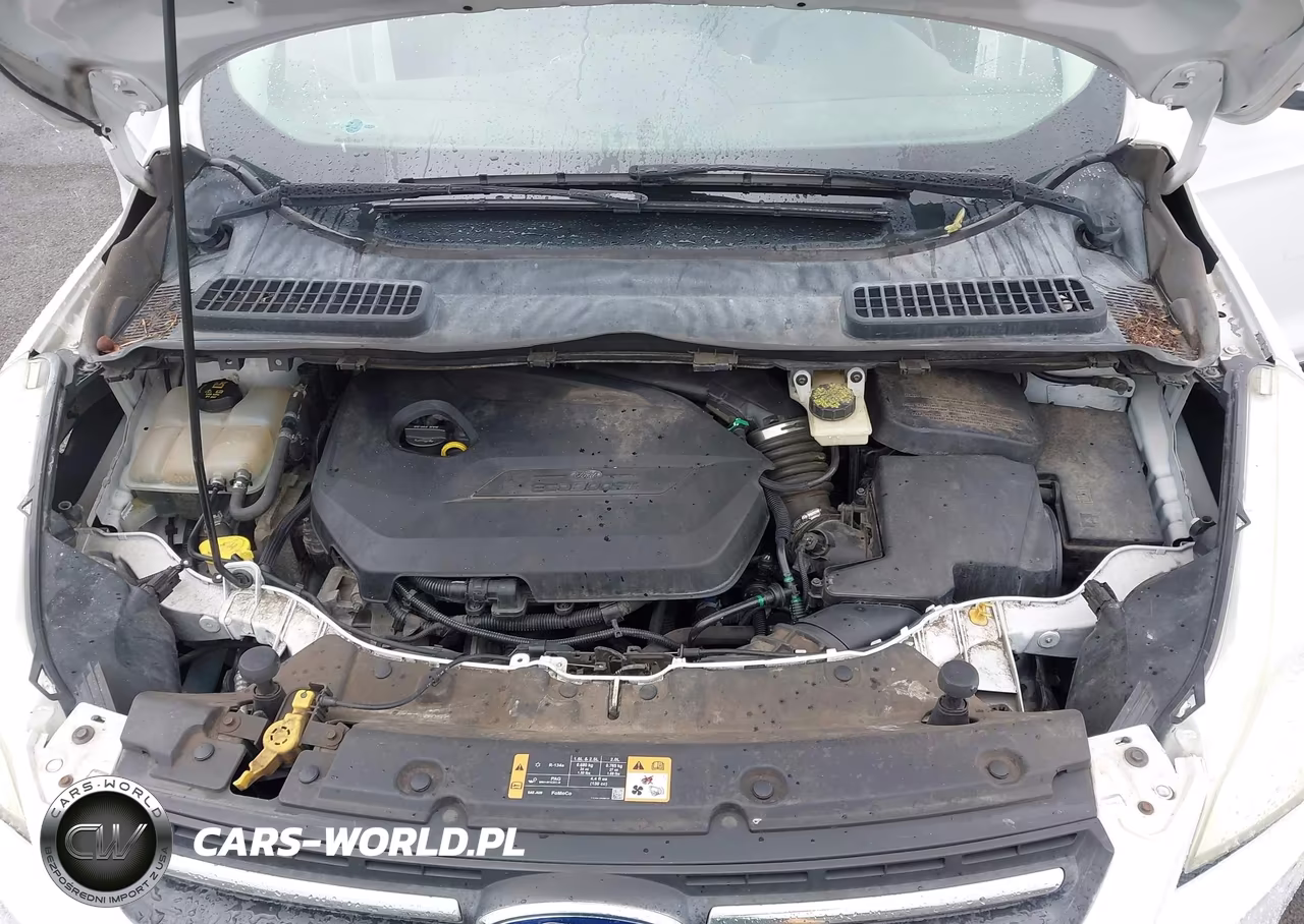 2014 Ford Escape Se VIN:1FMCU0GX0EUC85556 - 10