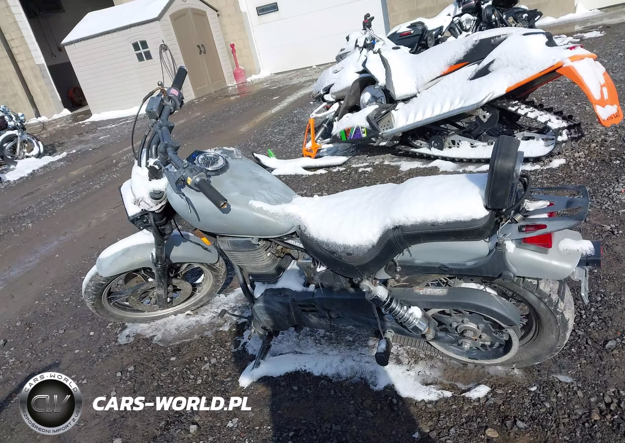 2006 Suzuki Ls650 P VIN:JS1NP41AX62101277 - 12