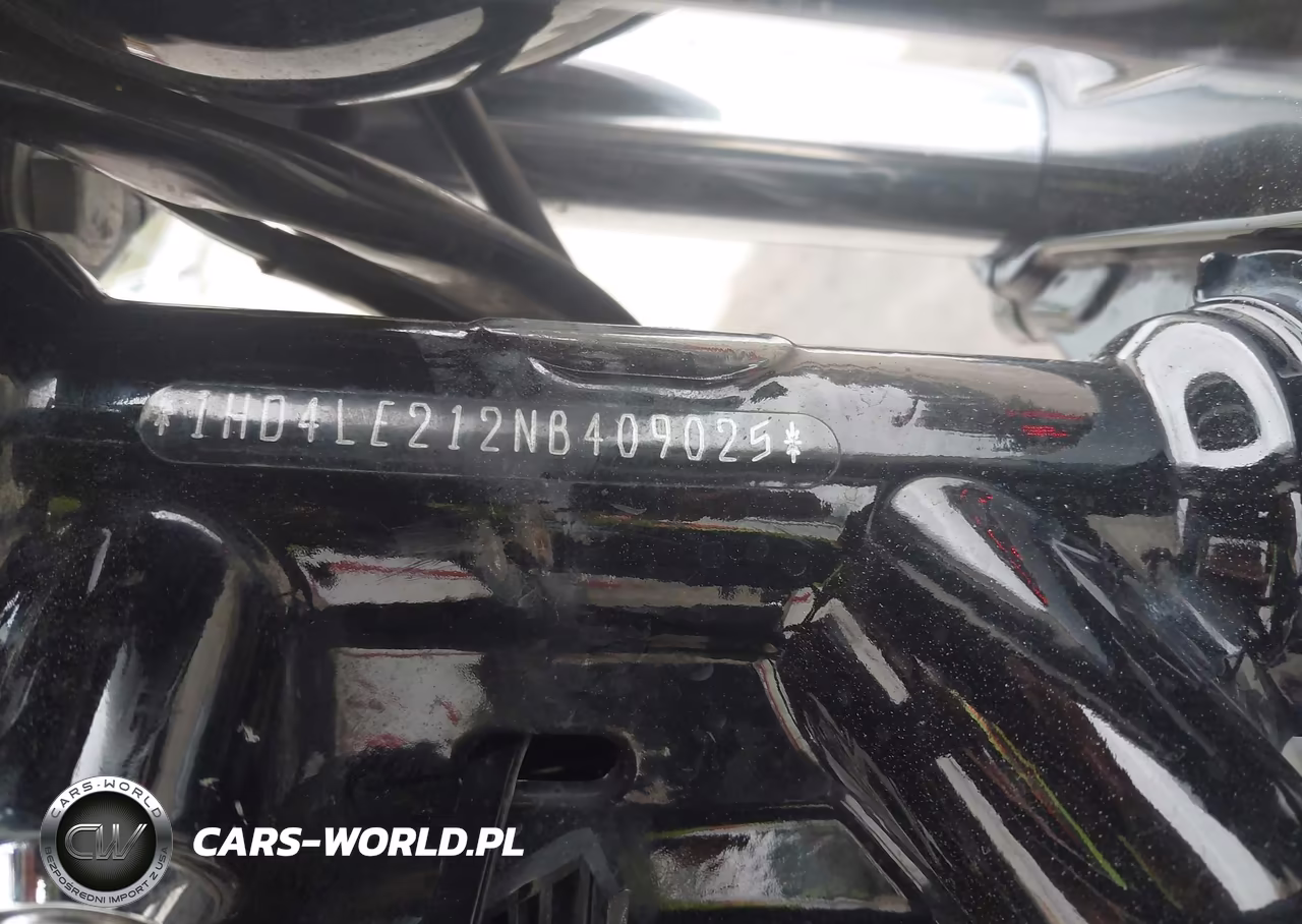 2022 Harley-Davidson Xl883 N VIN:1HD4LE212NB409025 - 10