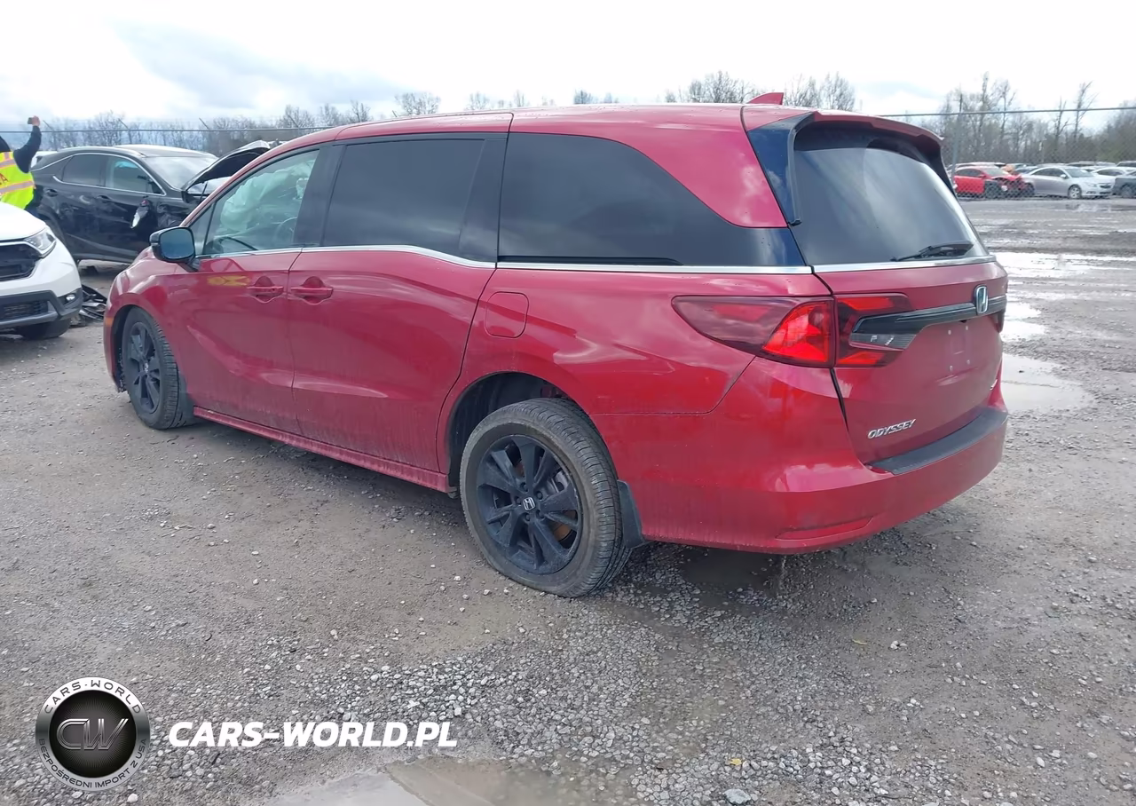 2024 Honda Odyssey Sport VIN:5FNRL6H76RB008329 - 3