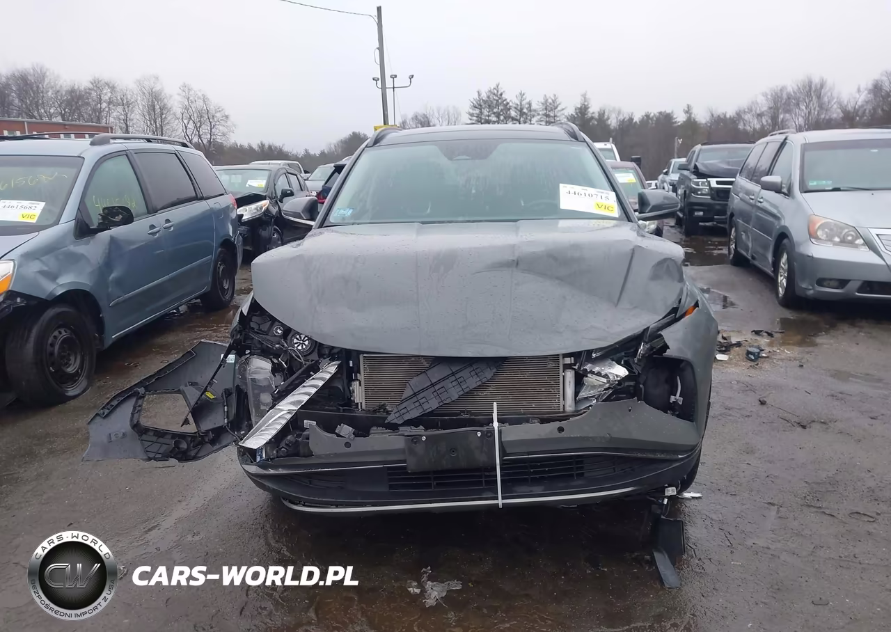 2024 Hyundai Tucson Limited VIN:5NMJECDE7RH347724 - 12