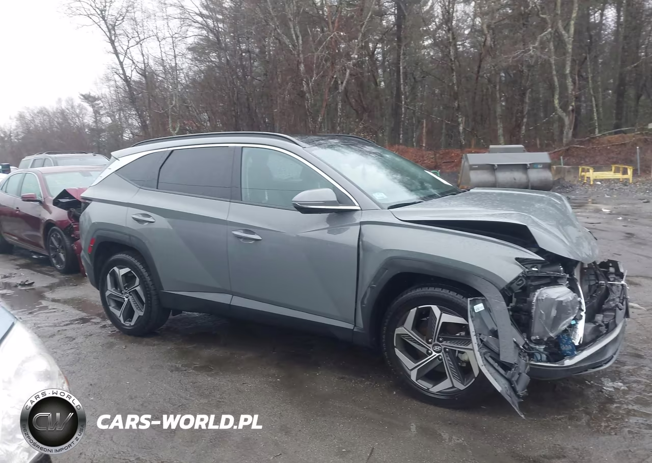 2024 Hyundai Tucson Limited VIN:5NMJECDE7RH347724 - 13