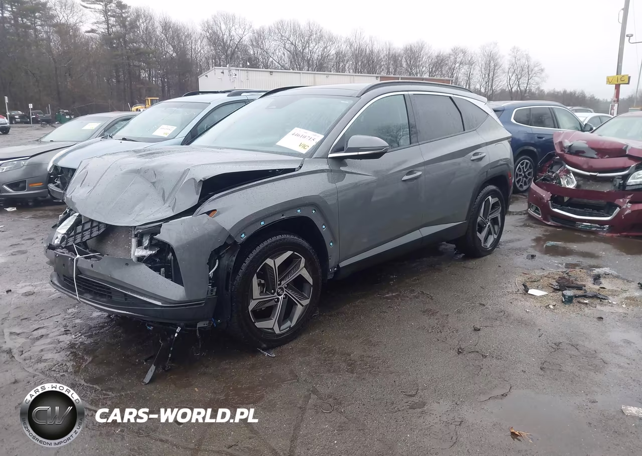 2024 Hyundai Tucson Limited VIN:5NMJECDE7RH347724 - 2
