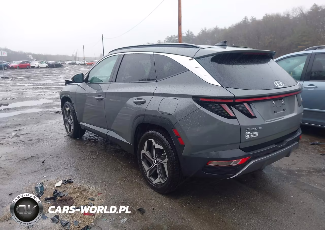2024 Hyundai Tucson Limited VIN:5NMJECDE7RH347724 - 3