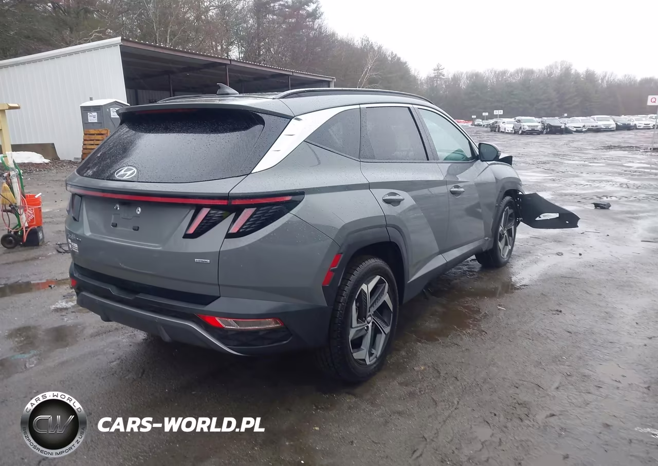 2024 Hyundai Tucson Limited VIN:5NMJECDE7RH347724 - 4