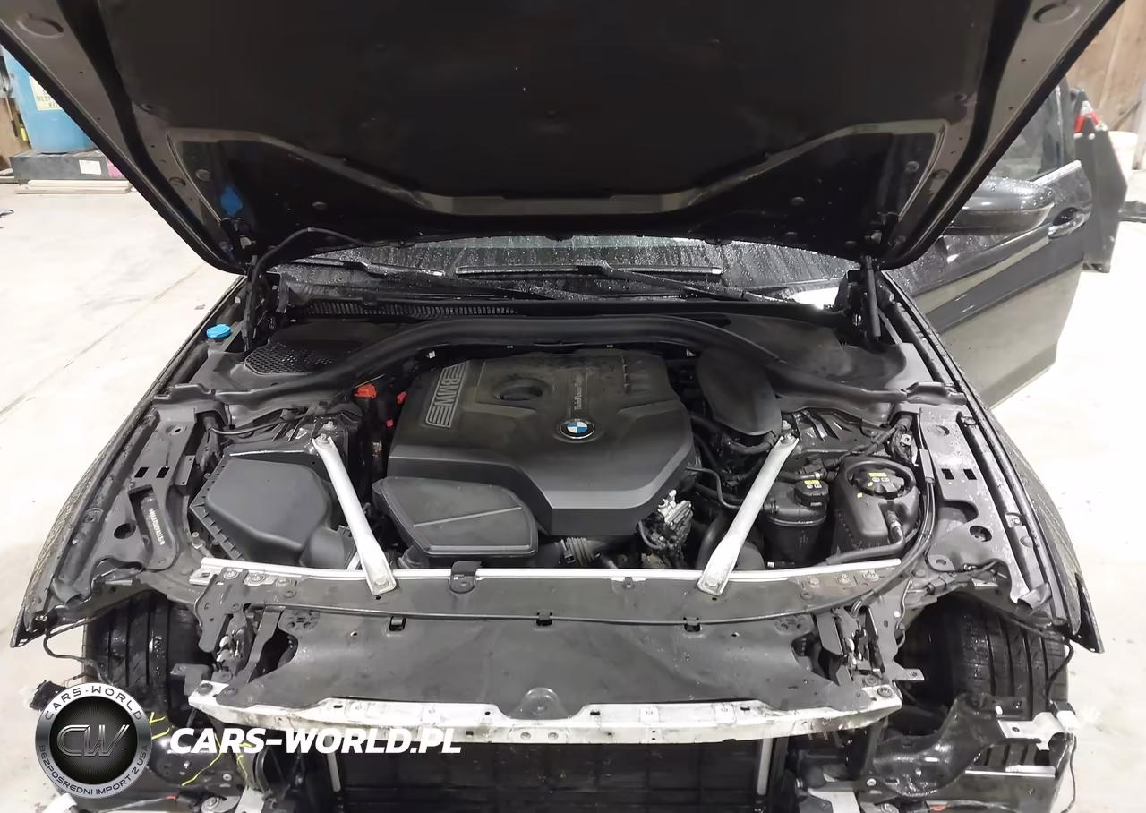 2019 BMW 530I xDrive VIN:WBAJA7C55KWW23354 - 10