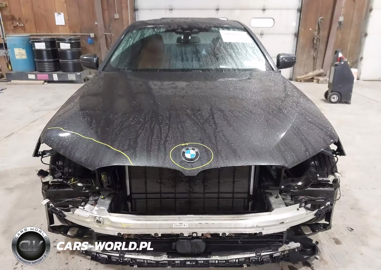 2019 BMW 530I xDrive VIN:WBAJA7C55KWW23354 - 12