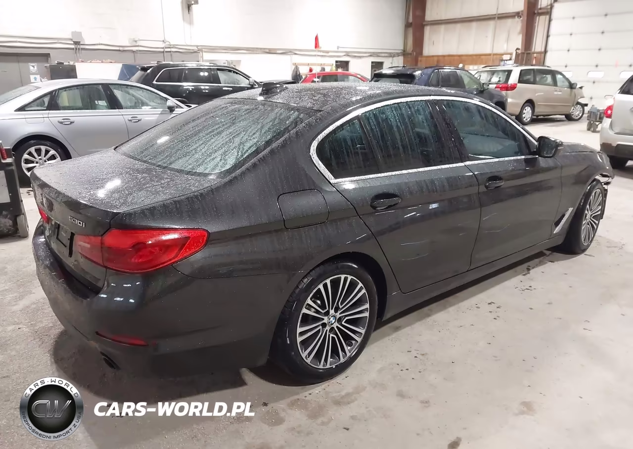 2019 BMW 530I xDrive VIN:WBAJA7C55KWW23354 - 4