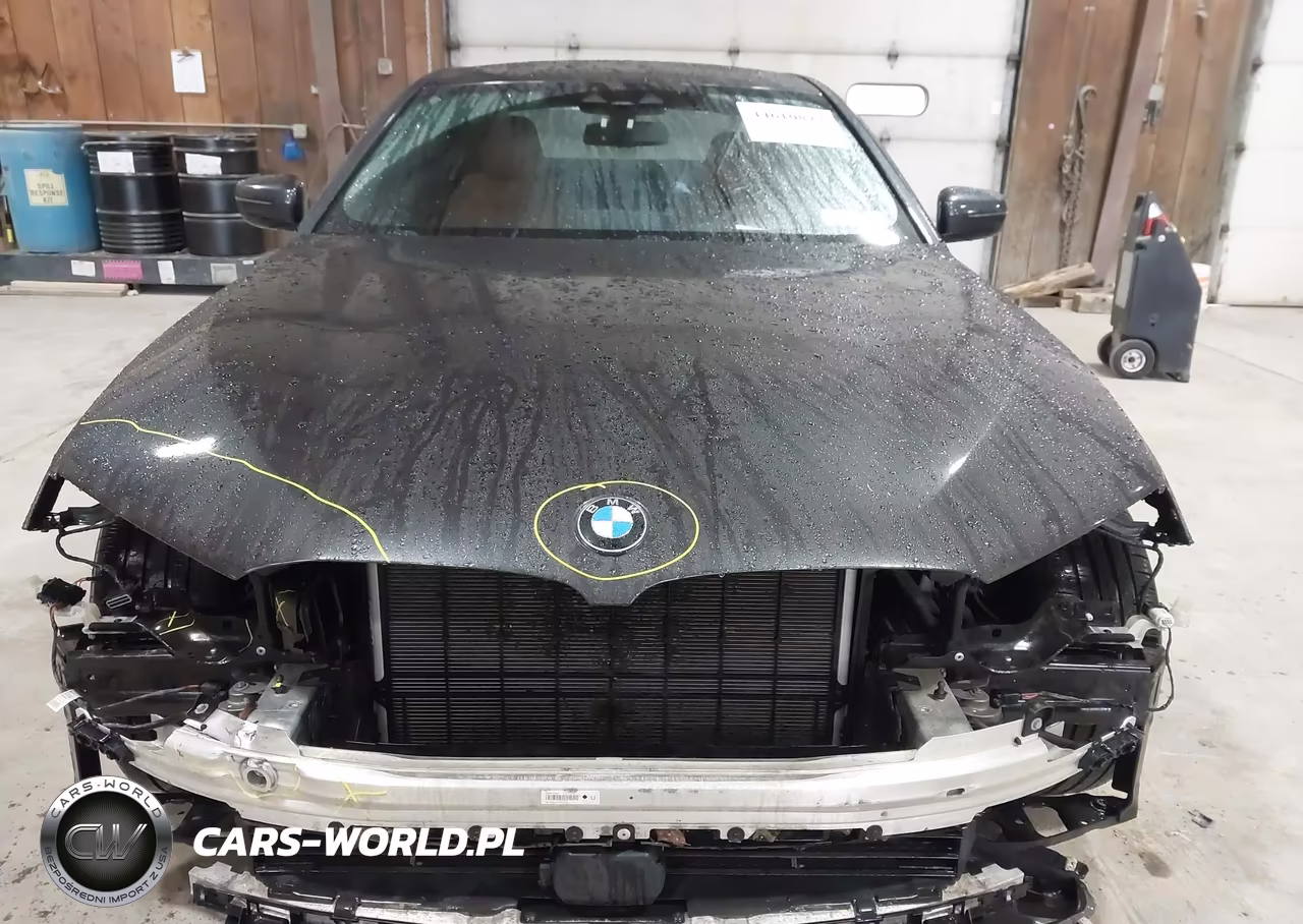 2019 BMW 530I xDrive VIN:WBAJA7C55KWW23354 - 6