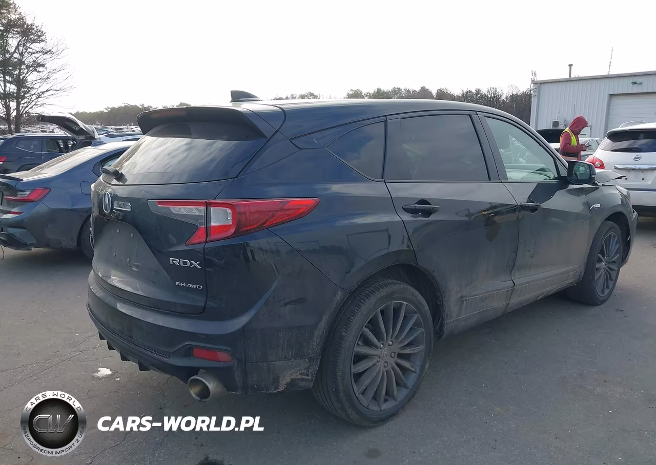 2023 Acura Rdx A-Spec Advance Package VIN:5J8TC2H87PL009735 - 4