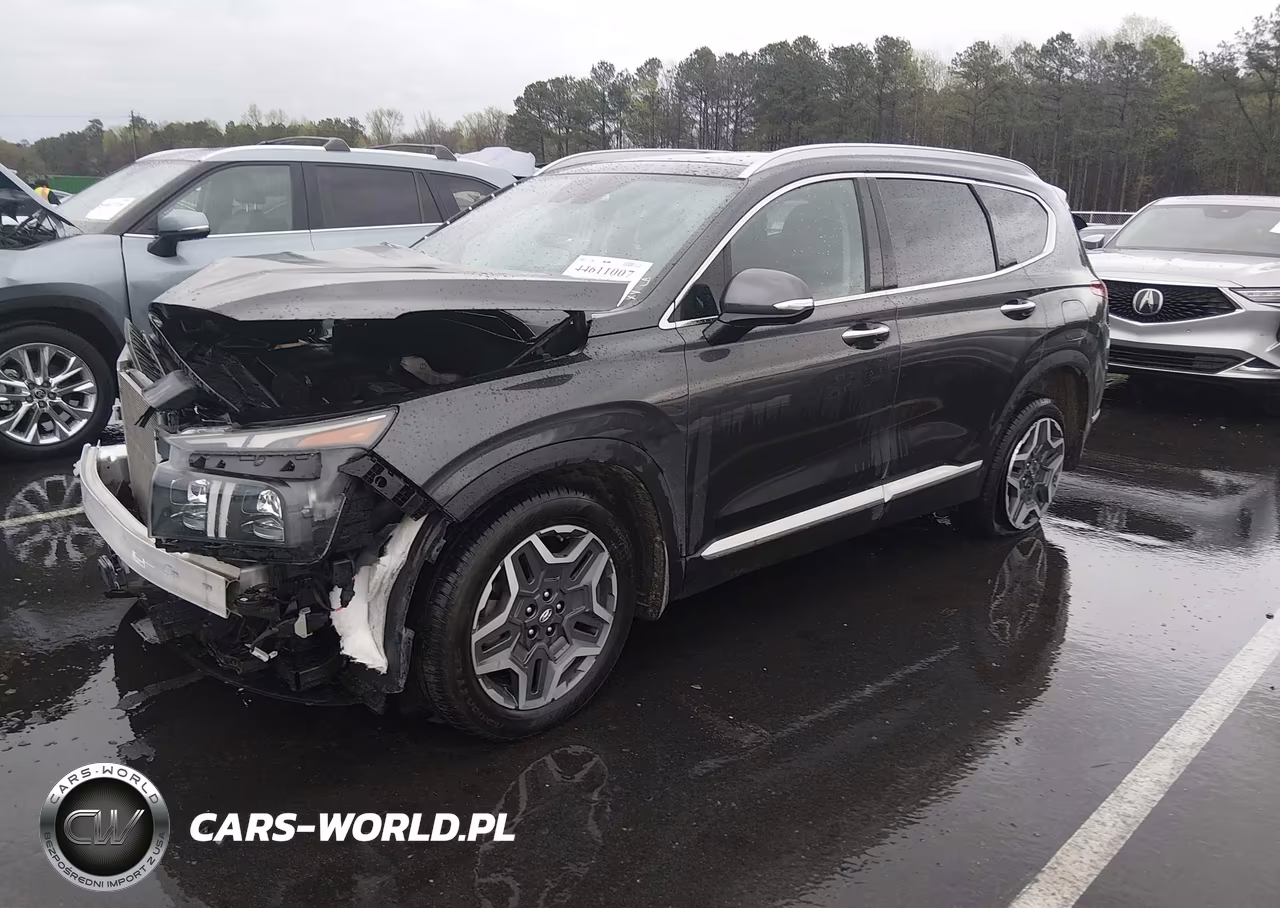 2023 Hyundai Santa Fe Limited VIN:5NMS44AL4PH486397 - 2