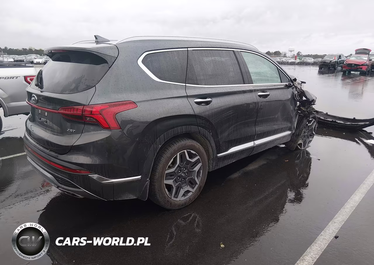 2023 Hyundai Santa Fe Limited VIN:5NMS44AL4PH486397 - 4