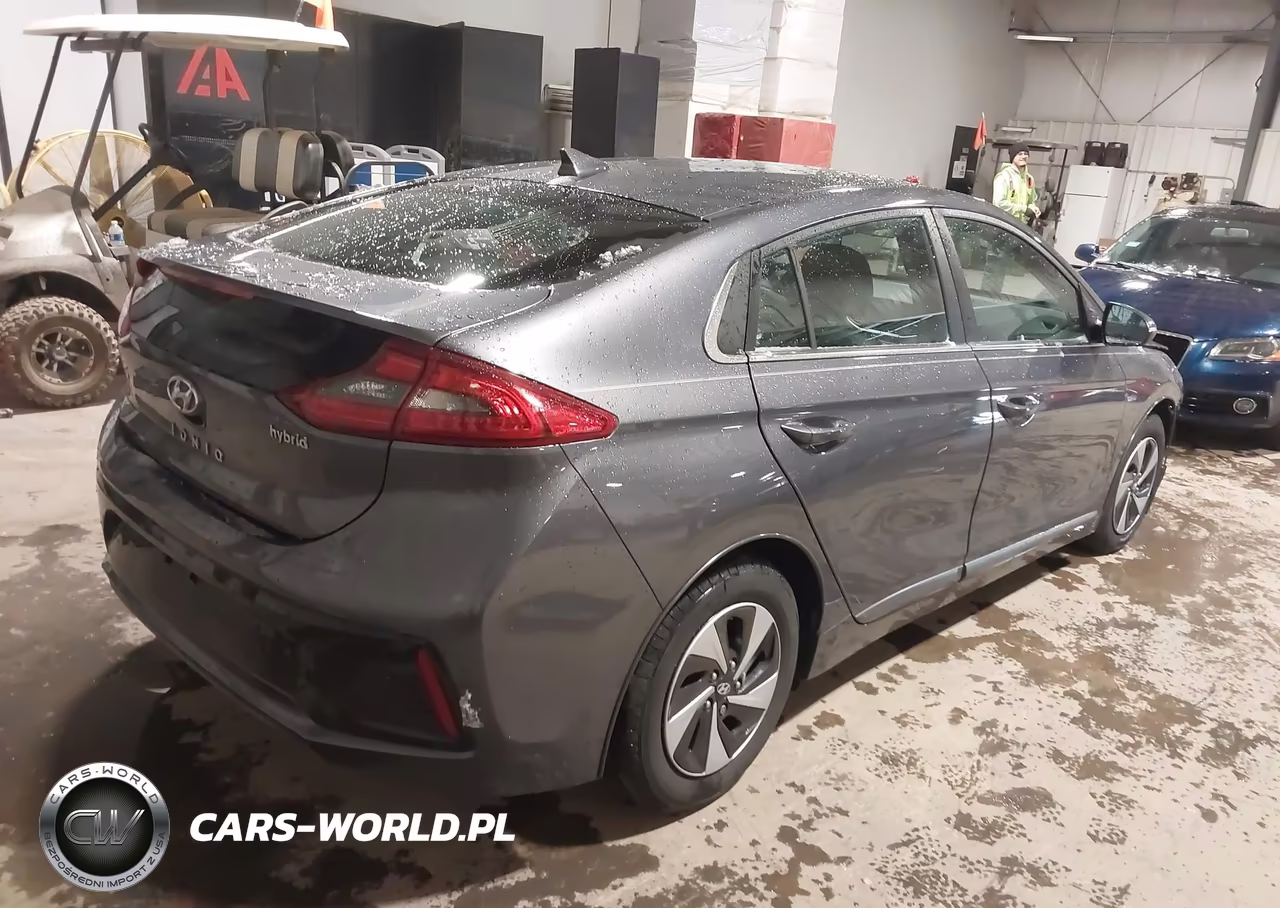 2017 Hyundai Ioniq Hybrid Sel VIN:KMHC75LC2HU056257 - 4