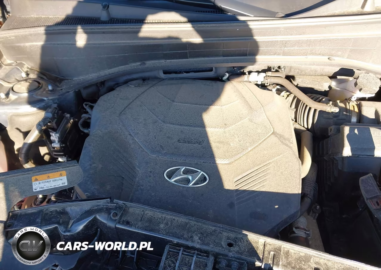 2024 Hyundai Palisade Limited VIN:KM8R5DGEXRU792001 - 10