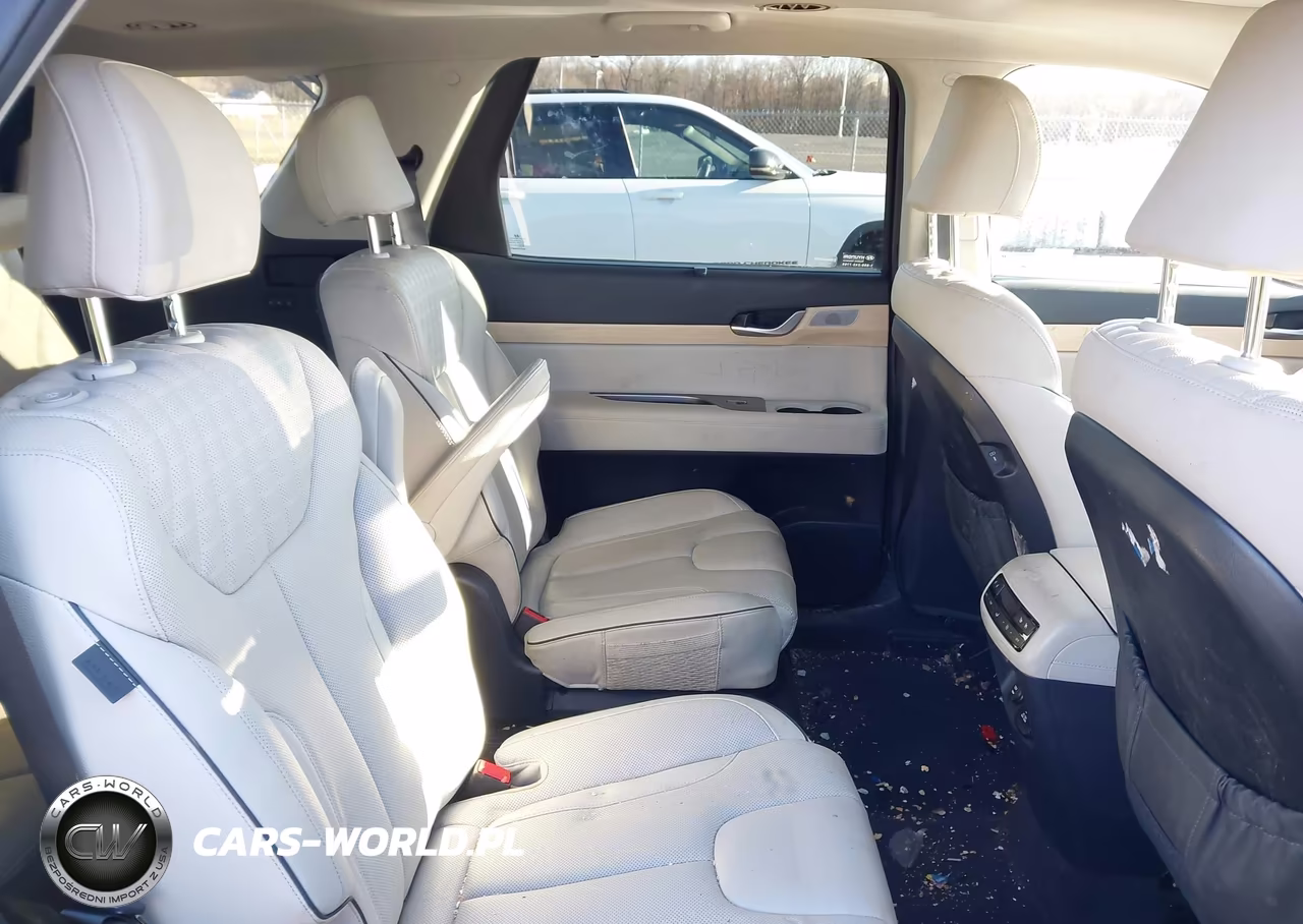 2024 Hyundai Palisade Limited VIN:KM8R5DGEXRU792001 - 8