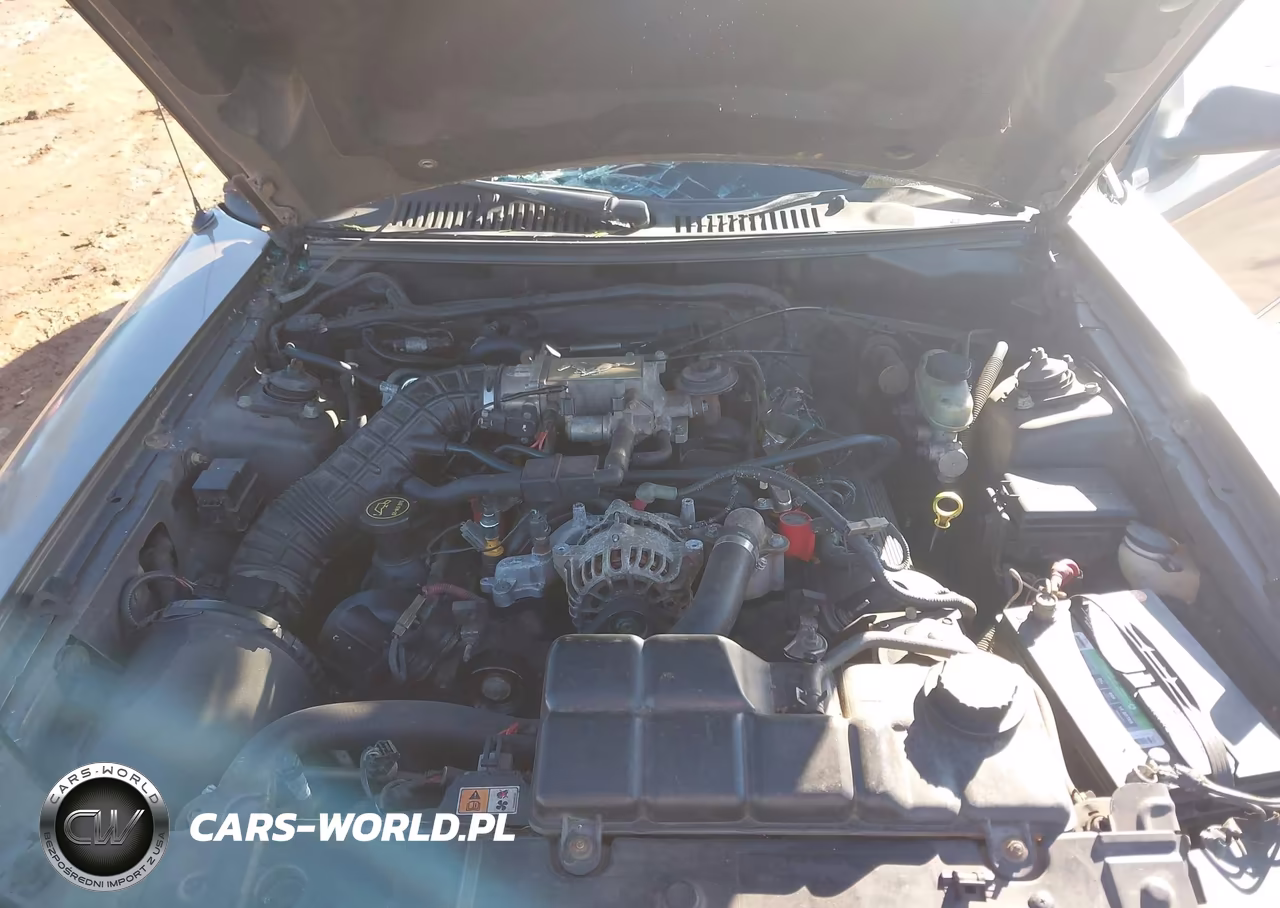 2002 Ford Mustang Gt VIN:1FAFP42XX2F142630 - 10