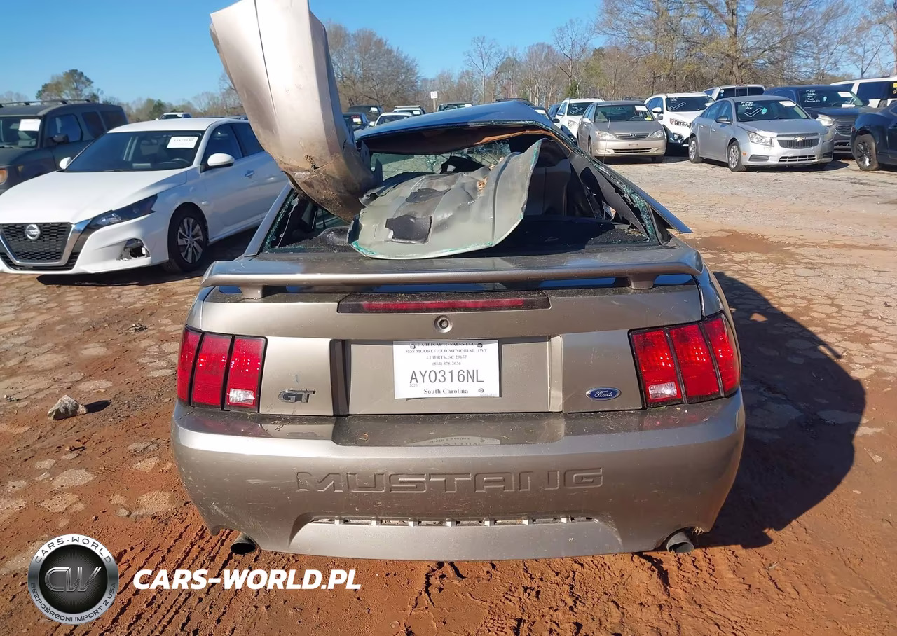 2002 Ford Mustang Gt VIN:1FAFP42XX2F142630 - 16
