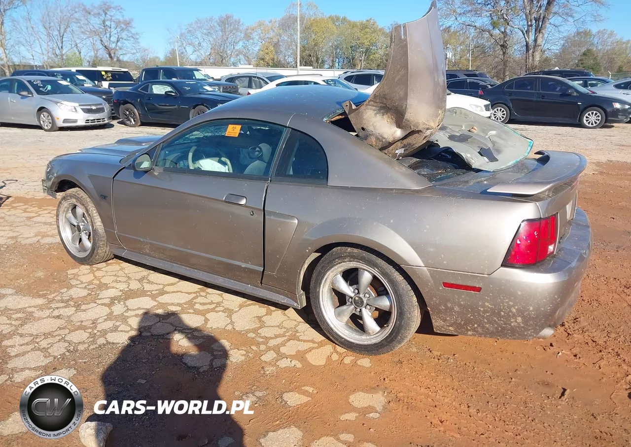 2002 Ford Mustang Gt VIN:1FAFP42XX2F142630 - 3