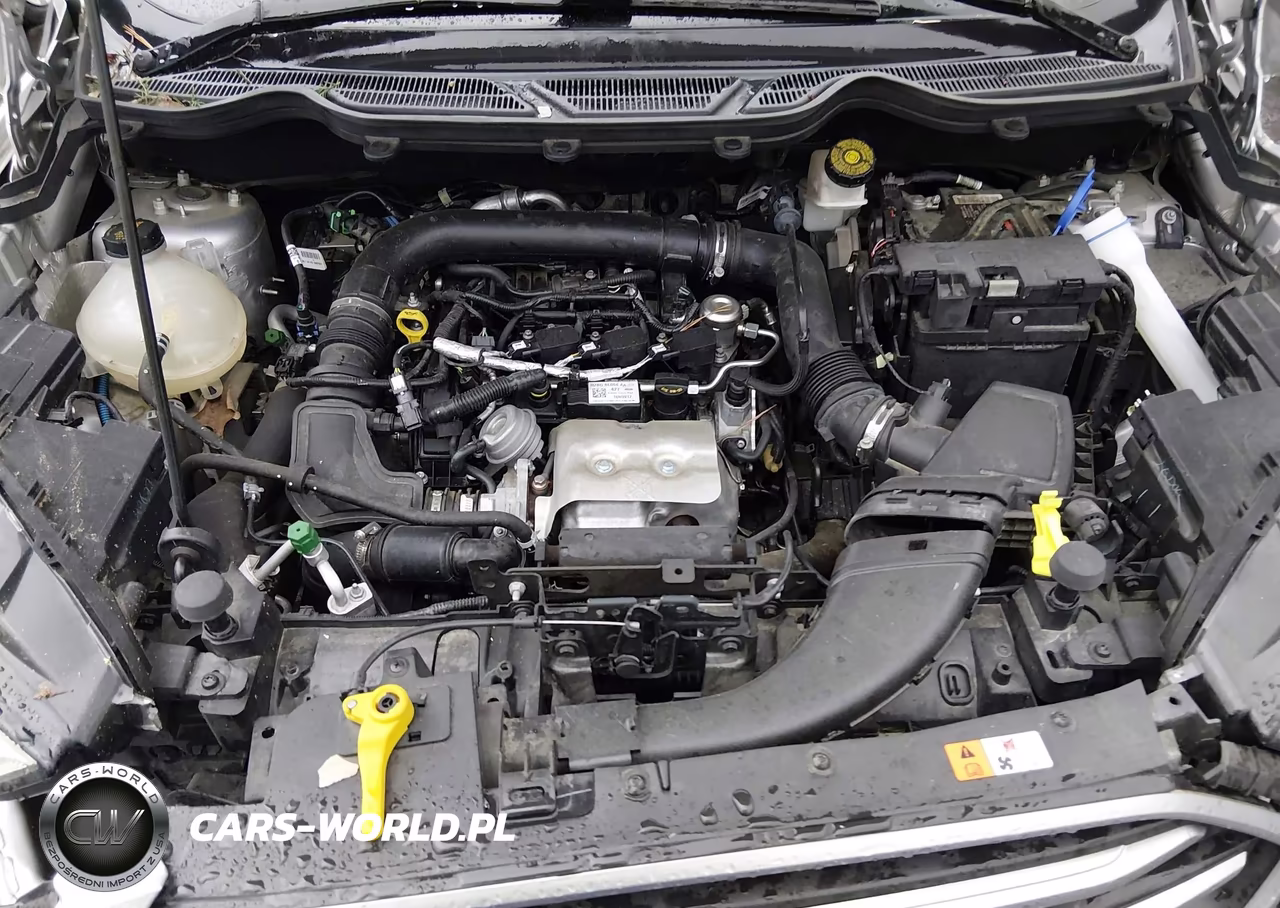 2018 Ford Ecosport Se VIN:MAJ3P1TEXJC192829 - 10
