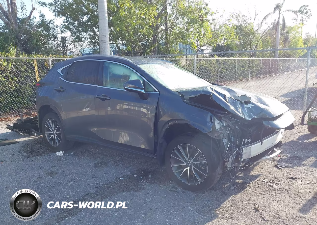 2024 Lexus Nx 250