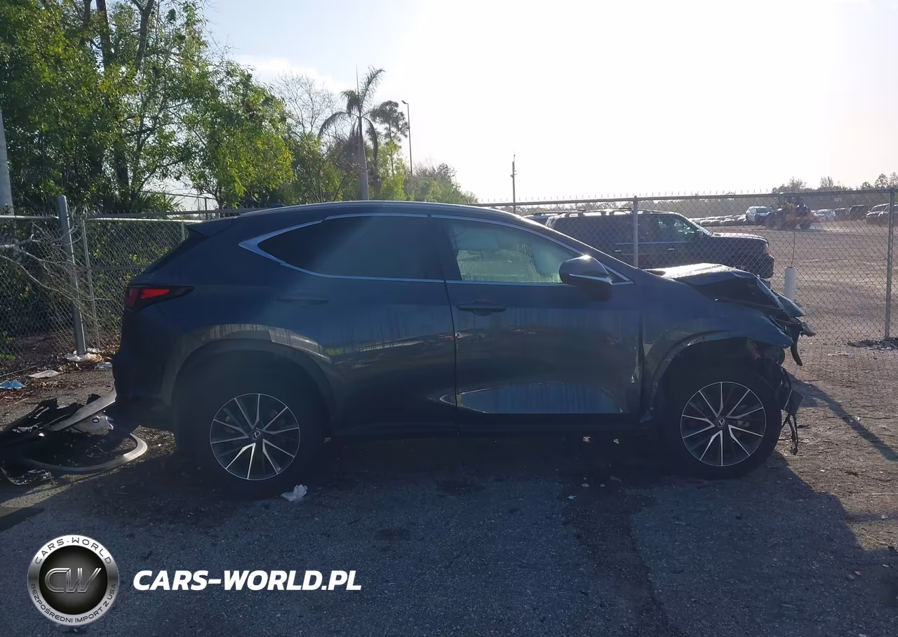 2024 Lexus Nx 250 VIN:2T2ADCAZ5RC008374 - 14