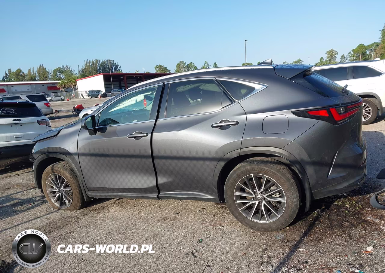 2024 Lexus Nx 250 VIN:2T2ADCAZ5RC008374 - 15
