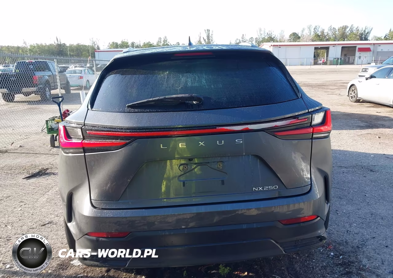 2024 Lexus Nx 250 VIN:2T2ADCAZ5RC008374 - 17