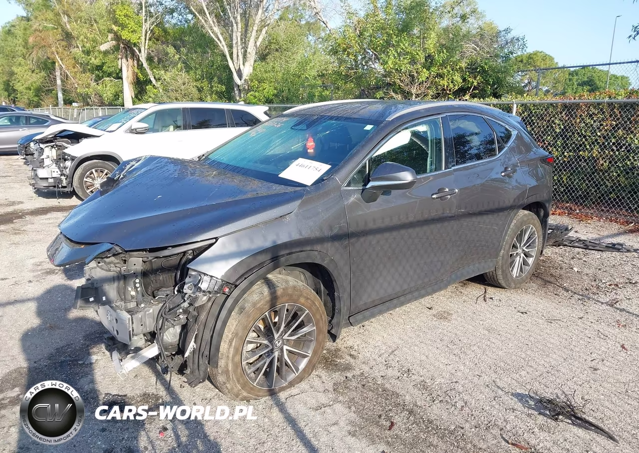 2024 Lexus Nx 250 VIN:2T2ADCAZ5RC008374 - 2