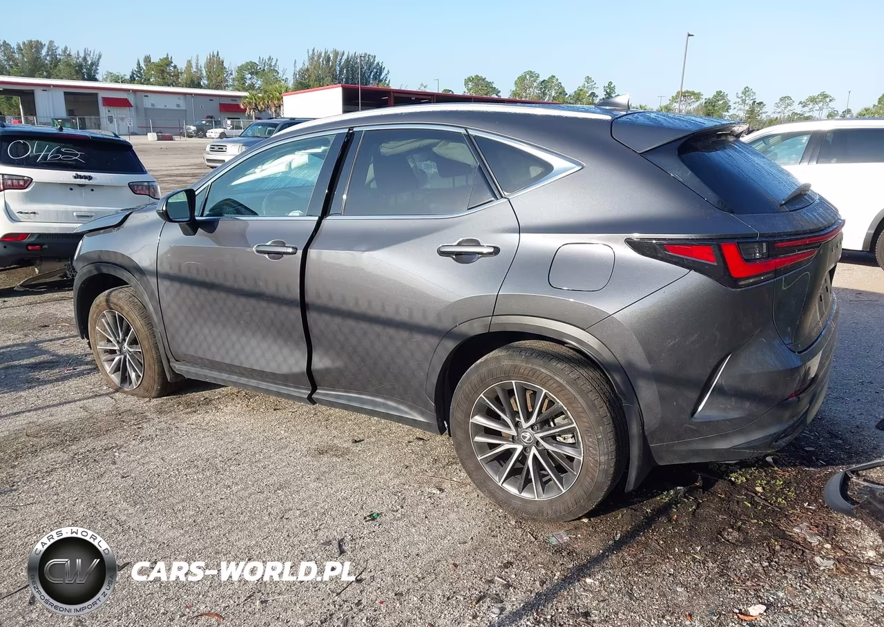 2024 Lexus Nx 250 VIN:2T2ADCAZ5RC008374 - 3