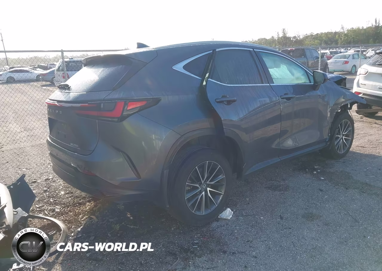 2024 Lexus Nx 250 VIN:2T2ADCAZ5RC008374 - 4