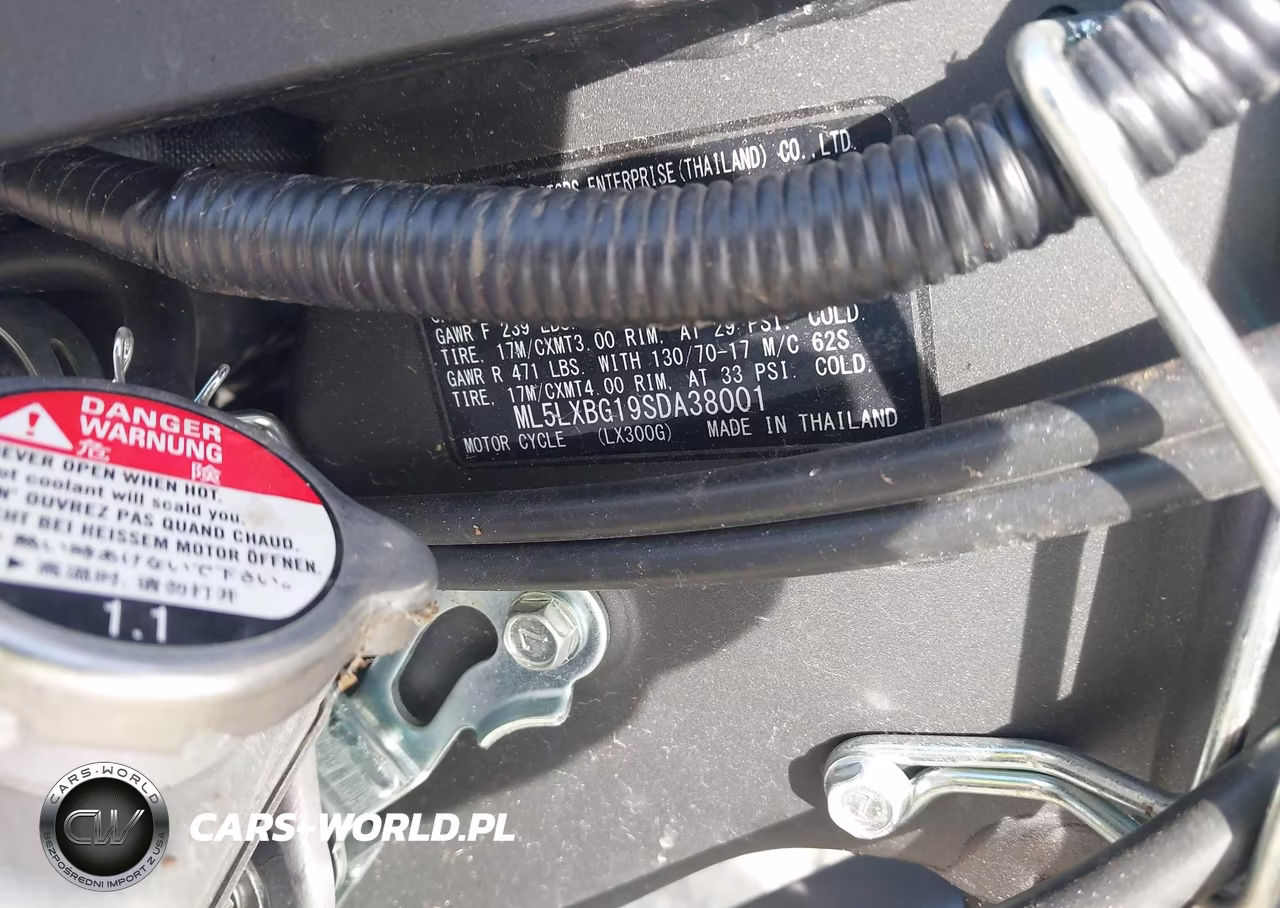 2025 Kawasaki Klx300 S VIN:ML5LXBG19SDA38001 - 10