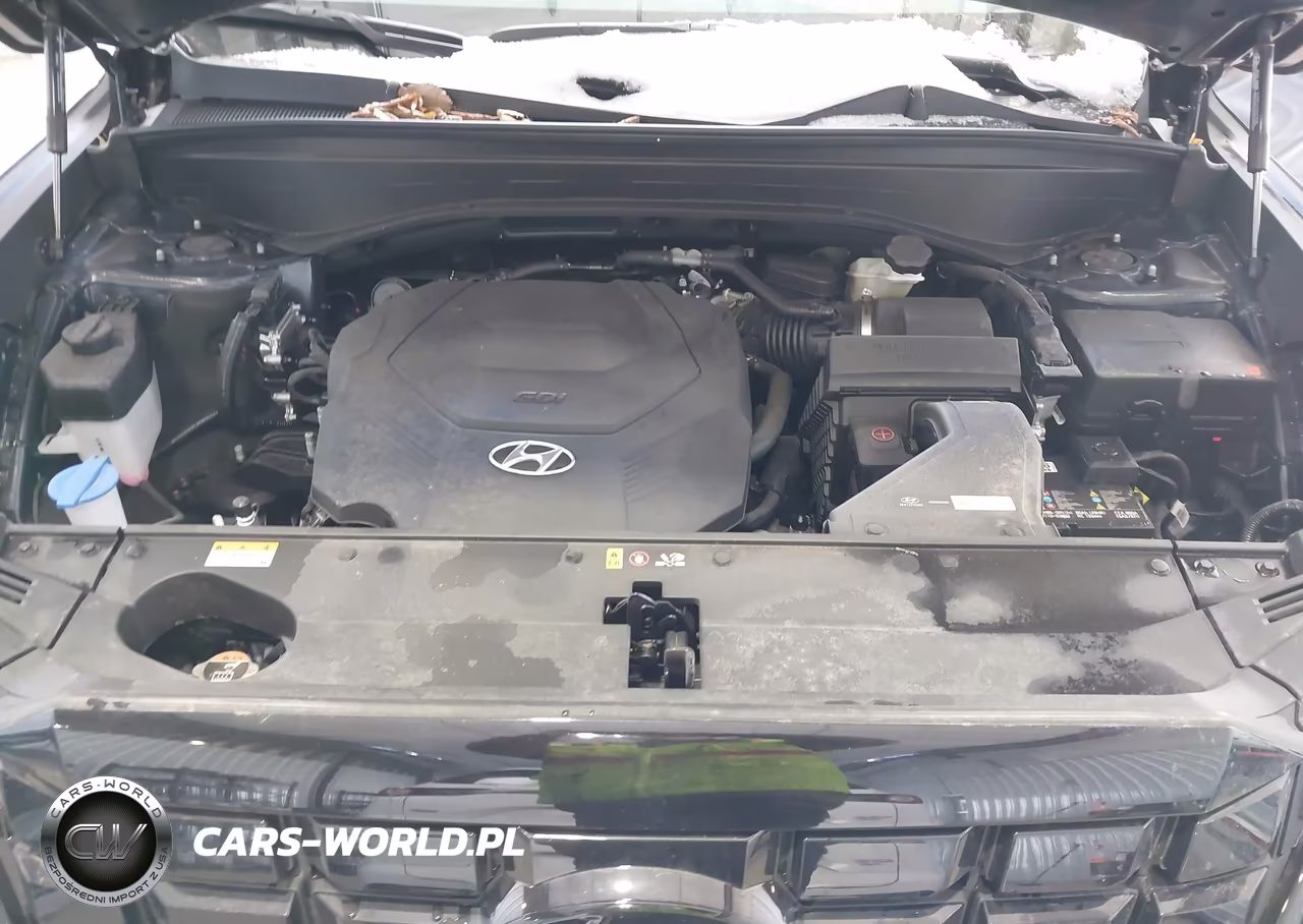2025 Hyundai Palisade Sel VIN:KM8R2DGE5SU856945 - 10