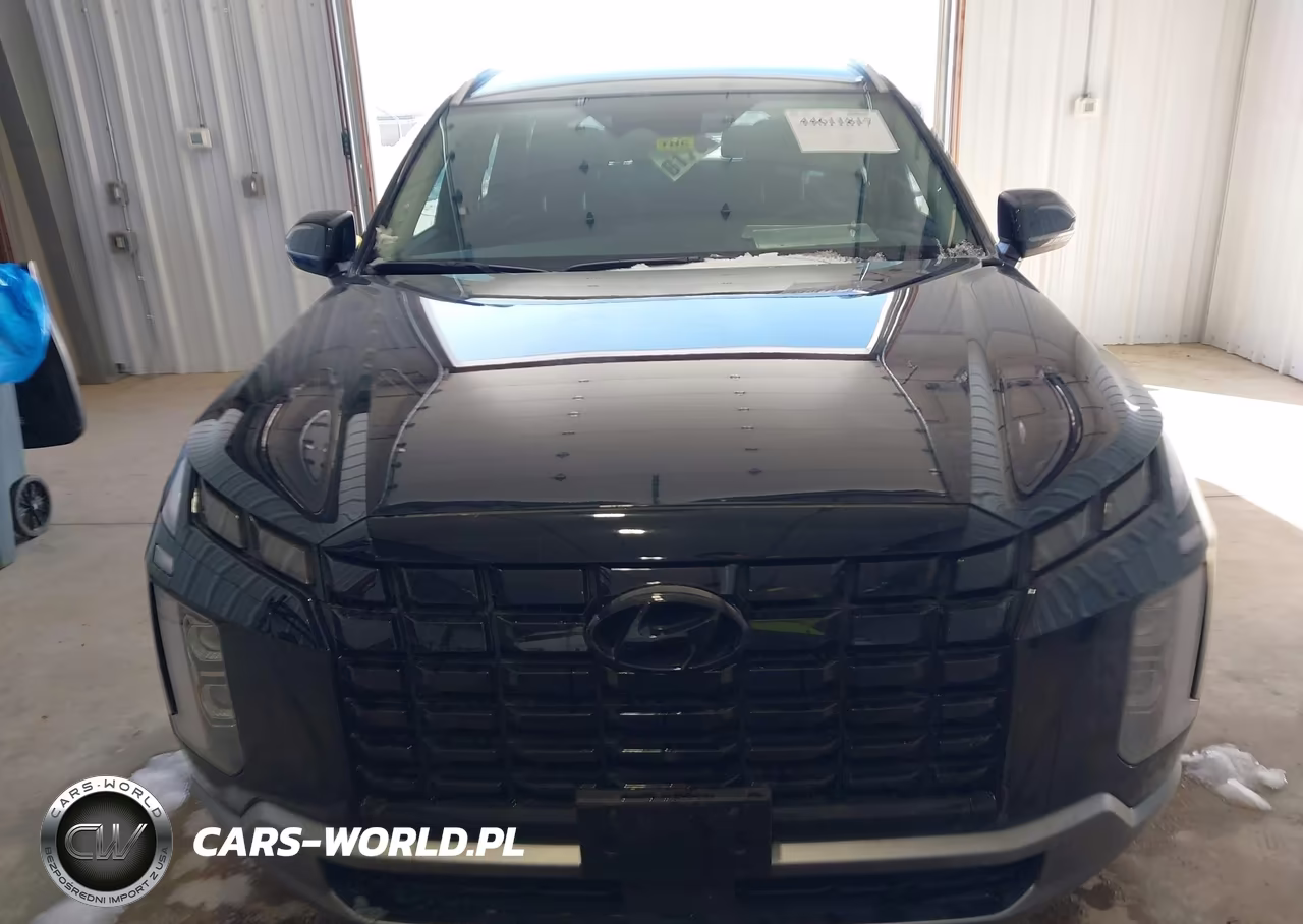 2025 Hyundai Palisade Sel VIN:KM8R2DGE5SU856945 - 13