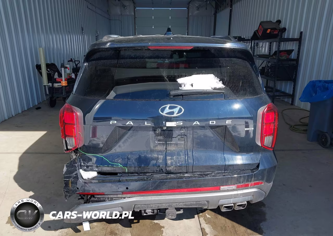 2025 Hyundai Palisade Sel VIN:KM8R2DGE5SU856945 - 17