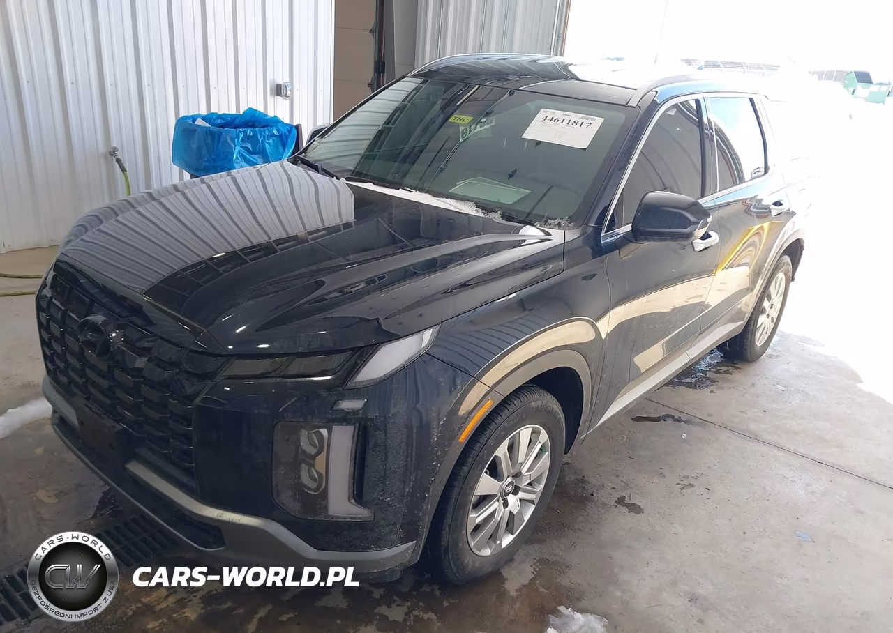 2025 Hyundai Palisade Sel VIN:KM8R2DGE5SU856945 - 2