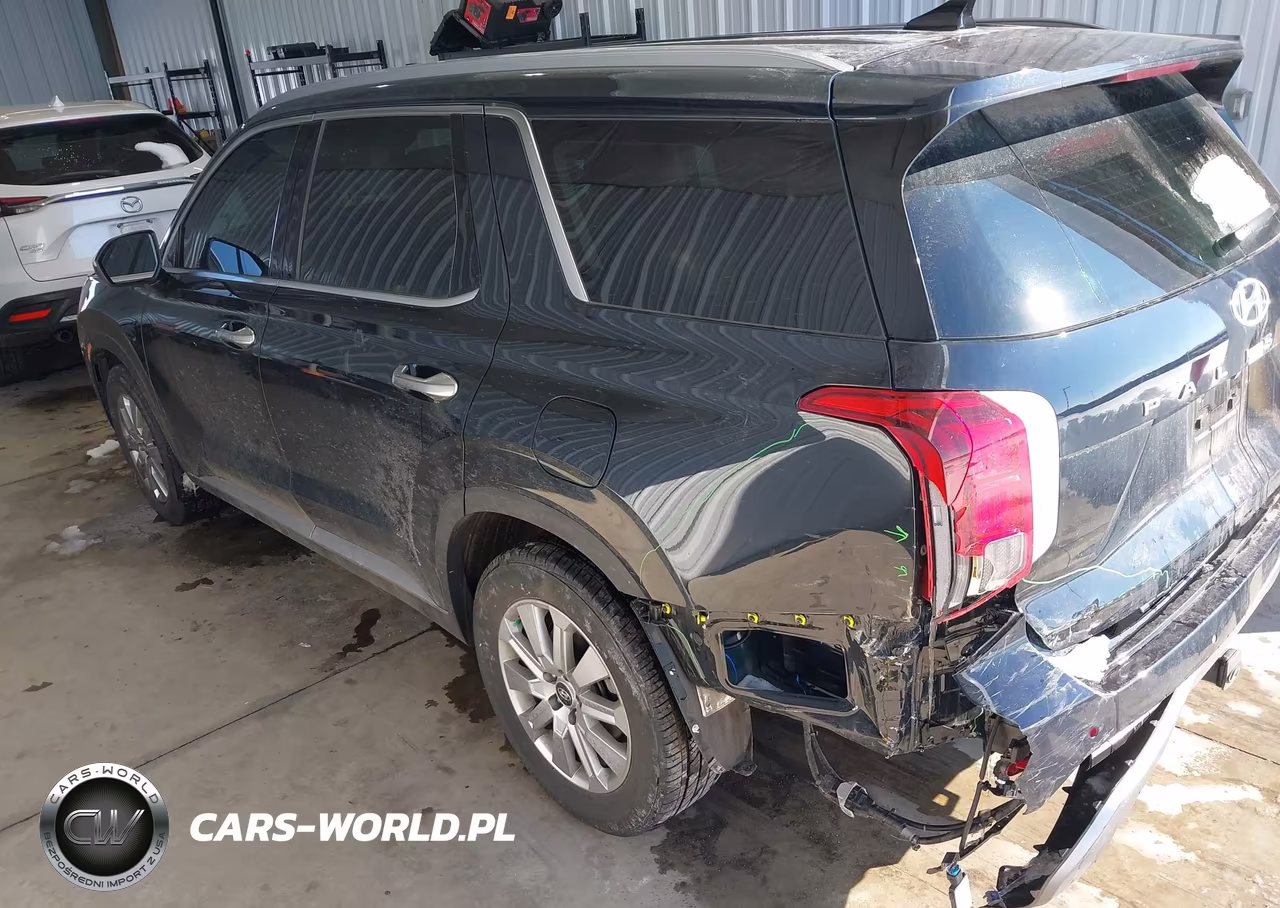 2025 Hyundai Palisade Sel VIN:KM8R2DGE5SU856945 - 3