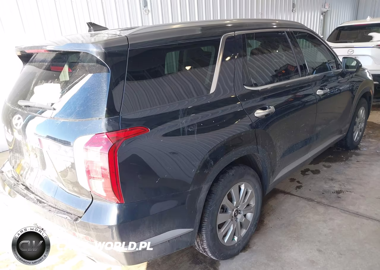 2025 Hyundai Palisade Sel VIN:KM8R2DGE5SU856945 - 4