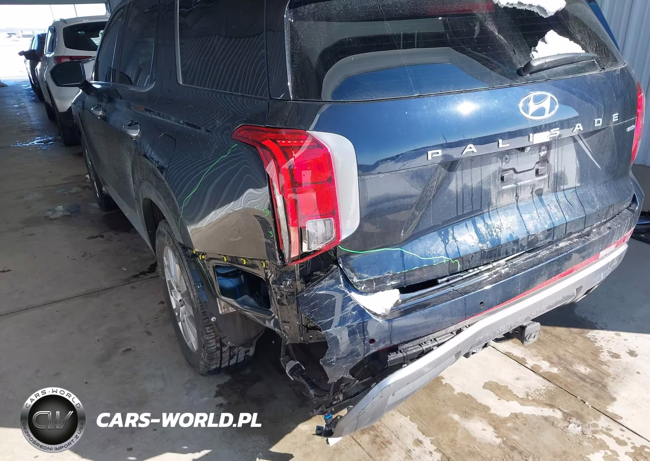 2025 Hyundai Palisade Sel VIN:KM8R2DGE5SU856945 - 6