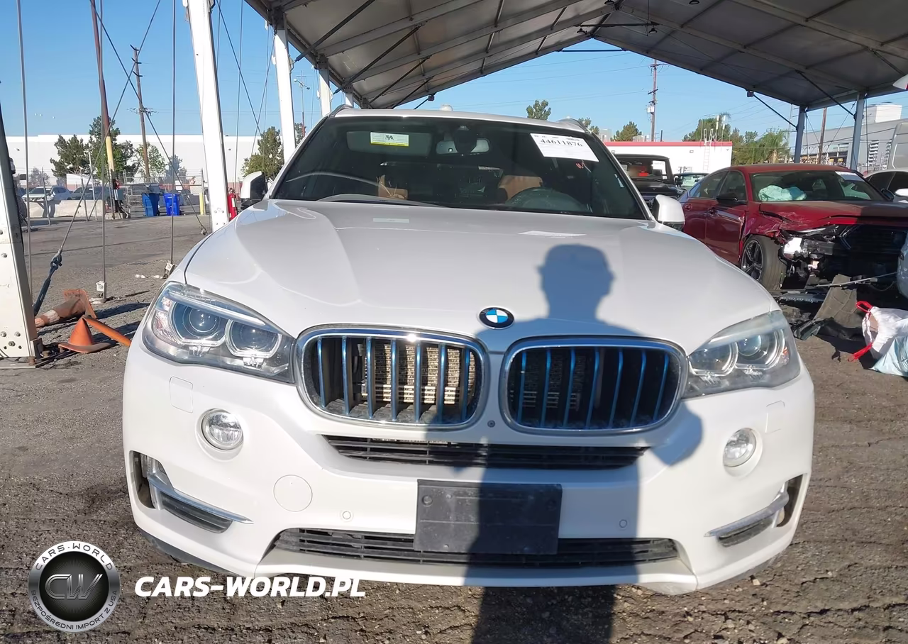 2017 BMW X5 Edrive xDrive40E Iperformance VIN:5UXKT0C38H0S81691 - 12