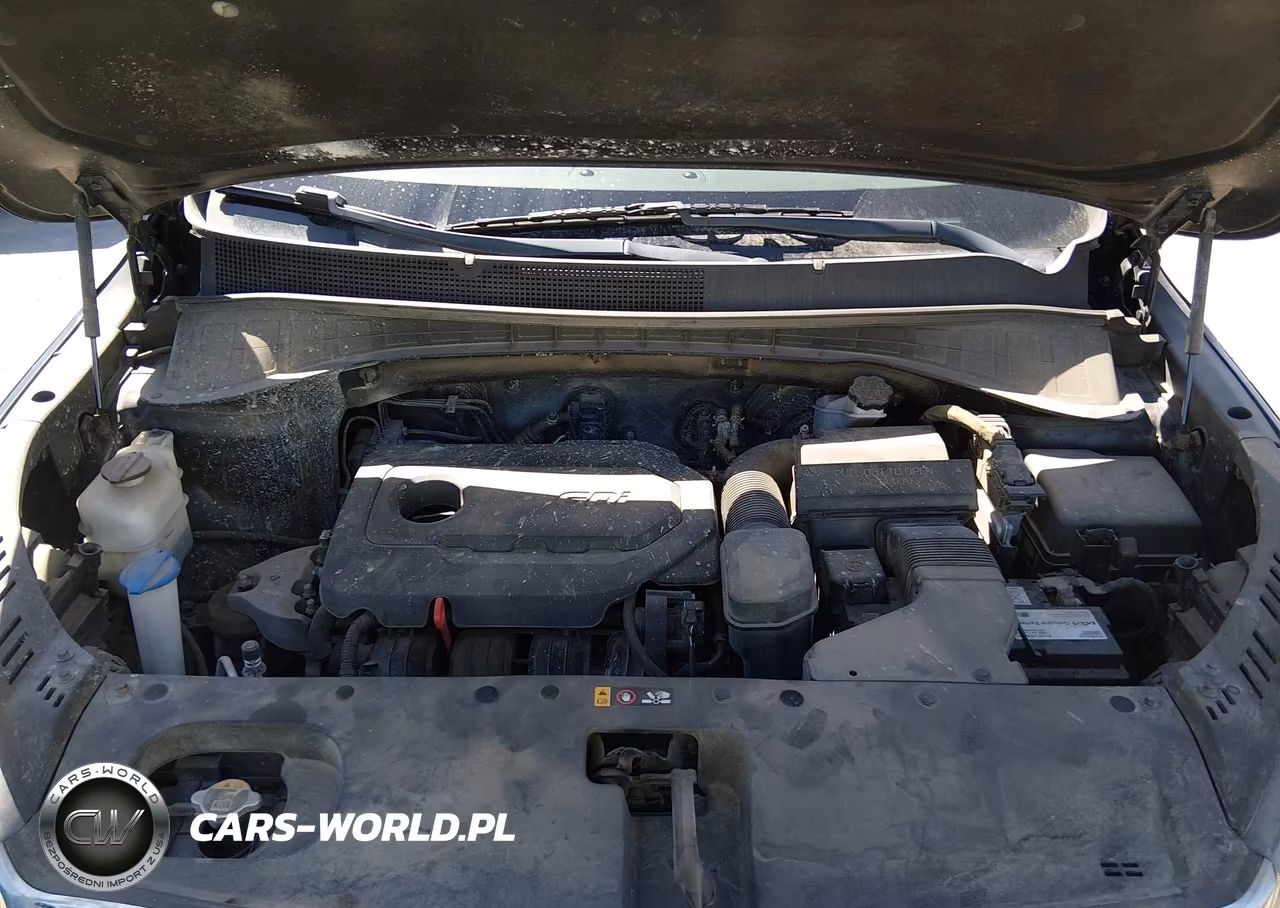 2019 Kia Sorento 2.4L Lx VIN:5XYPG4A3XKG568991 - 10