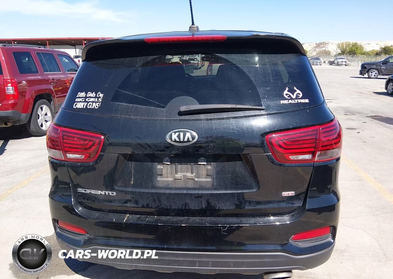2019 Kia Sorento 2.4L Lx VIN:5XYPG4A3XKG568991 - 16