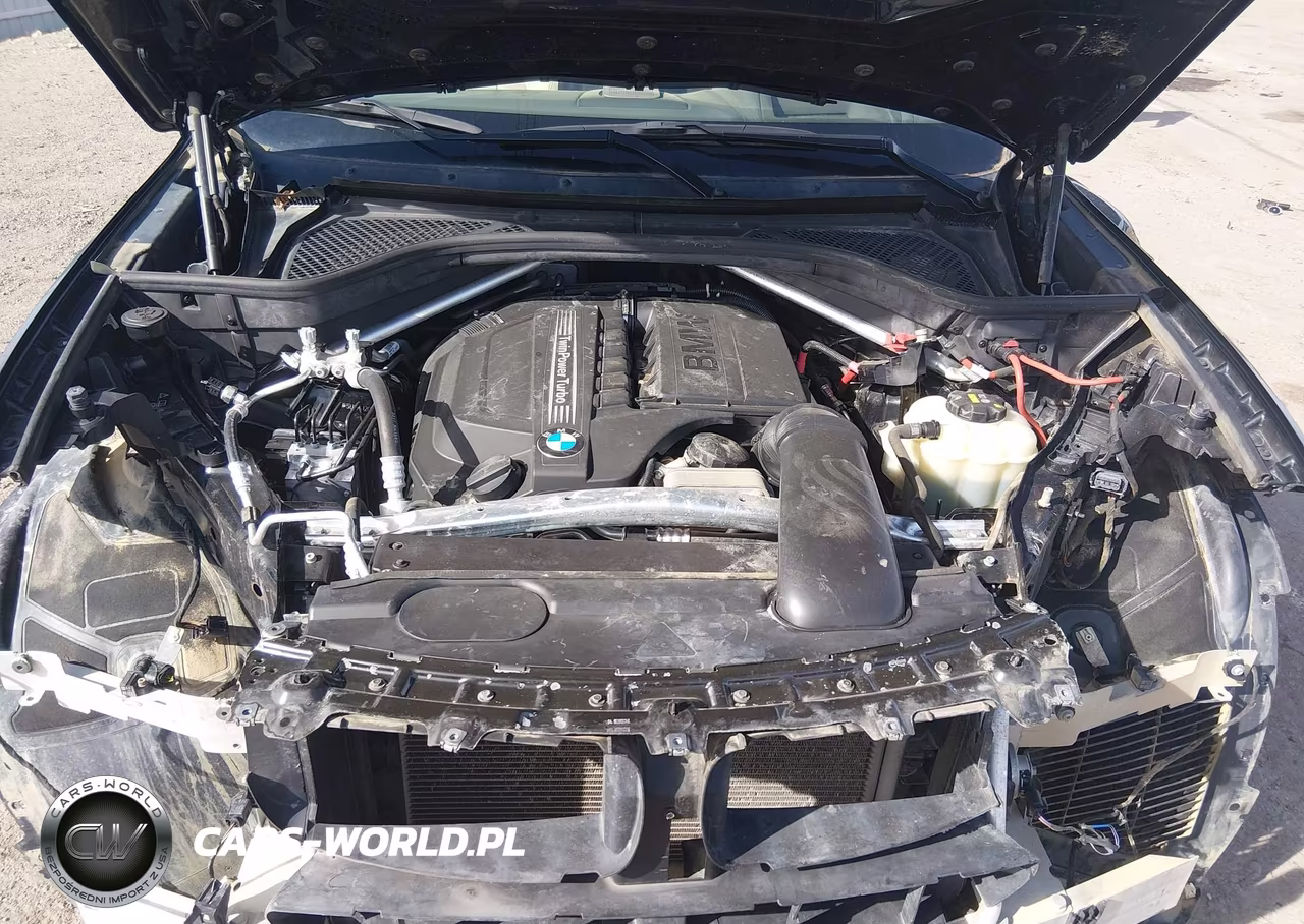 2018 BMW X6 xDrive35I VIN:5UXKU2C5XJ0X50764 - 10