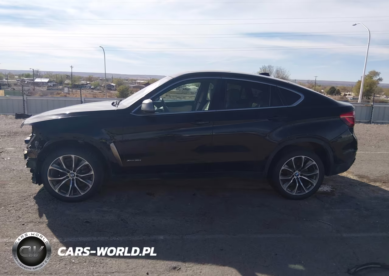 2018 BMW X6 xDrive35I VIN:5UXKU2C5XJ0X50764 - 15