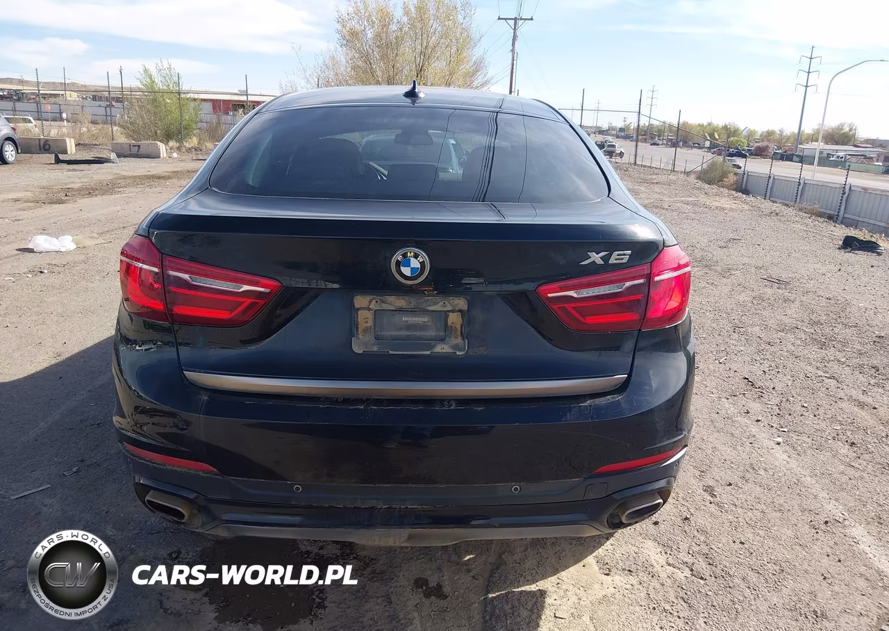 2018 BMW X6 xDrive35I VIN:5UXKU2C5XJ0X50764 - 17